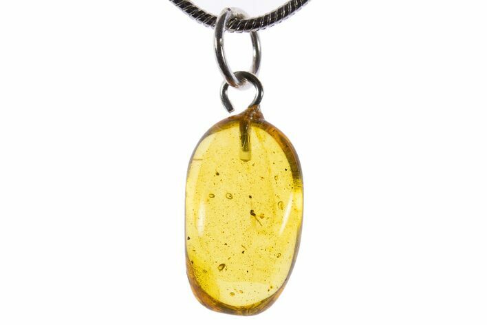 Polished Baltic Amber Pendant (Necklace) - Contains Fly! #339601